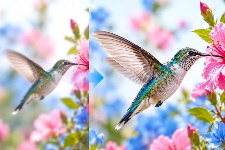 Größeres Bild mit klareren Kanten nach der Verbesserung