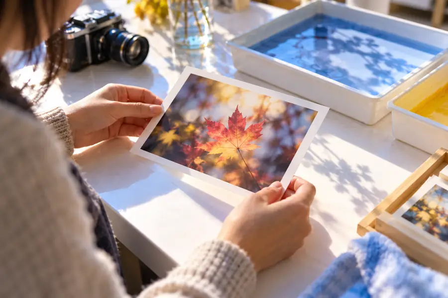 Small soft maple leaf image before enlargement